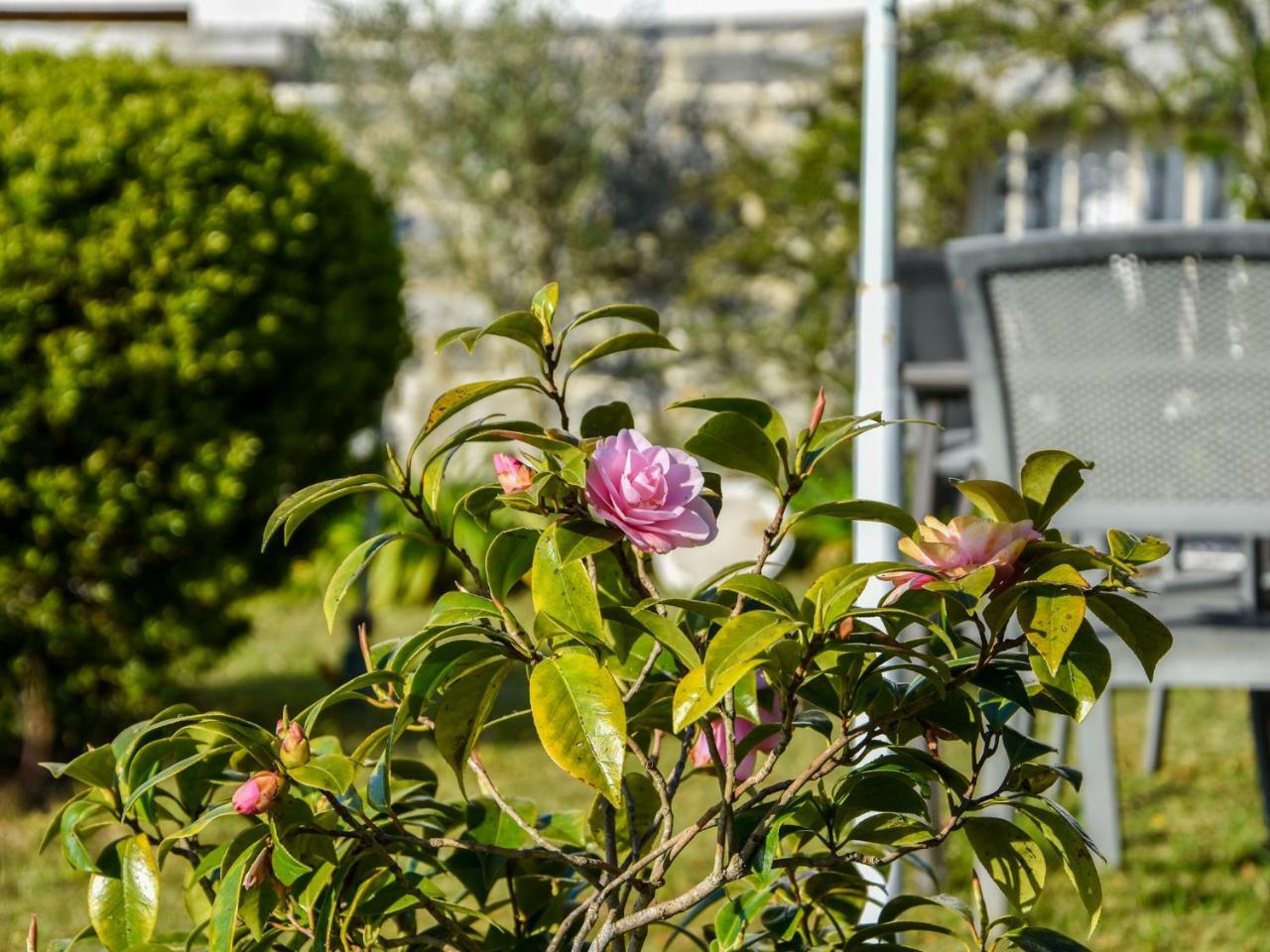 Beautiful Holiday Home With Sea View In Erquy Eksteriør billede